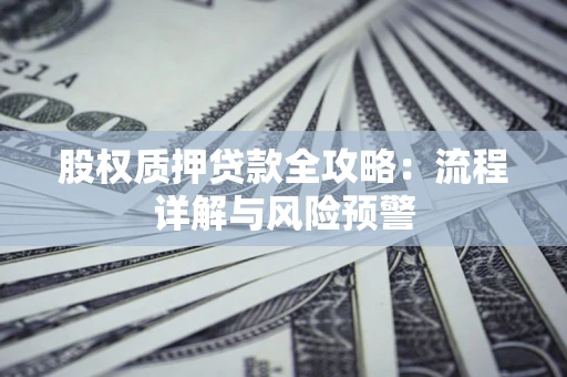 北京股权质押贷款全攻略：流程详解与风险预警