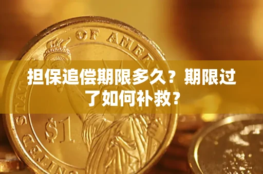 北京担保追偿期限多久？期限过了如何补救？