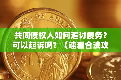 北京共同债权人如何追讨债务？可以起诉吗？（速看合法攻略）