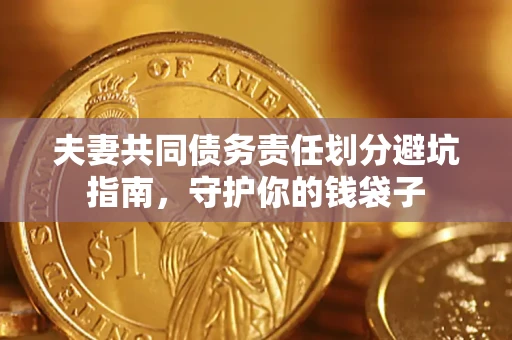 北京夫妻共同债务责任划分避坑指南，守护你的钱袋子