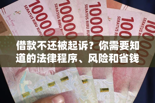 北京借款不还被起诉？你需要知道的法律程序、风险和省钱技巧