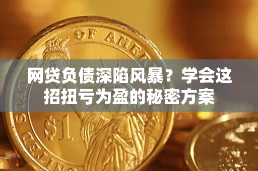 北京网贷负债深陷风暴？学会这招扭亏为盈的秘密方案